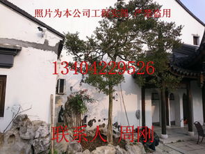 蘇州園林藝術 從規劃設計到綠化養護的完美融合