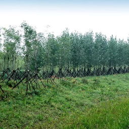 中邦園林兩項工程榮膺2018年度中國園林綠化優秀施工項目及綠化養護榮譽