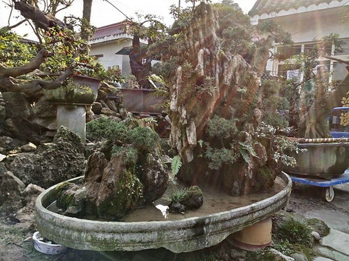 成都市光和園林藝術有限責任公司 專業(yè)園林綠化設計與施工服務