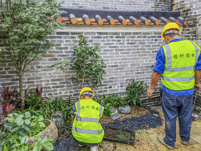 禪城嶺南盛世茶舍園林綠化工程進入收尾，精細化養護開啟新篇章